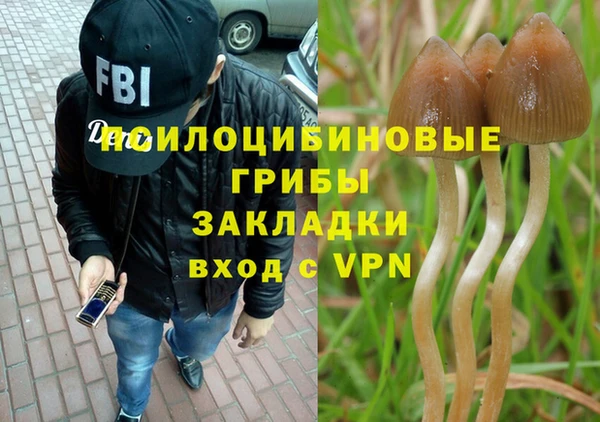прущий лед Алексин