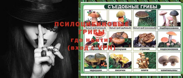 стафф Алзамай