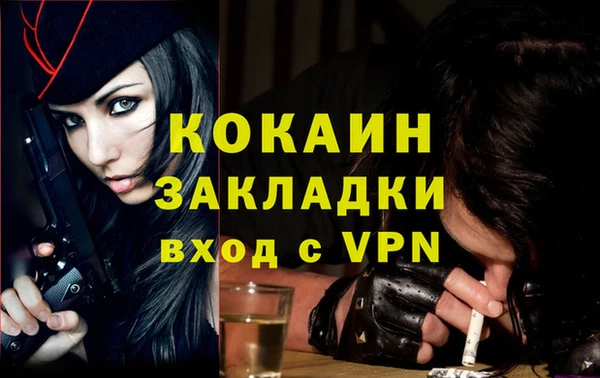 дживик Сатка