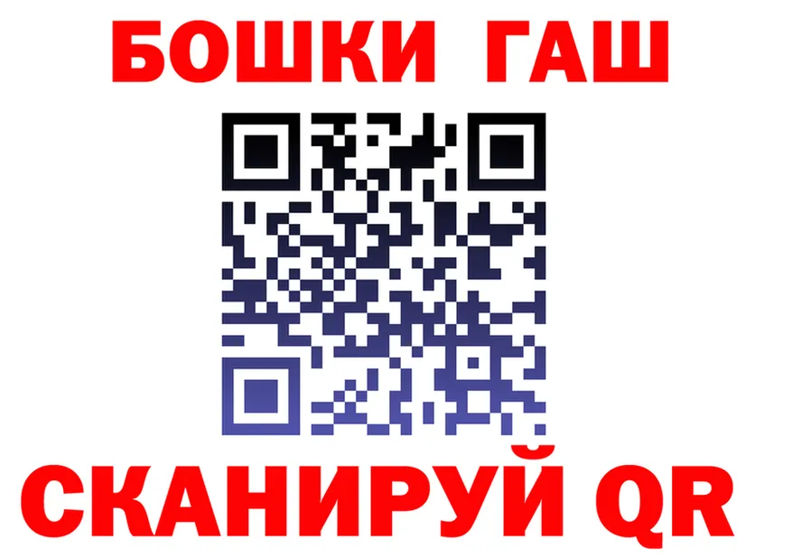 ГАШ Premium зеркало площадка OMG Дальнереченск