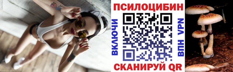 Псилоцибиновые грибы мухоморы продажа наркотиков Дальнереченск