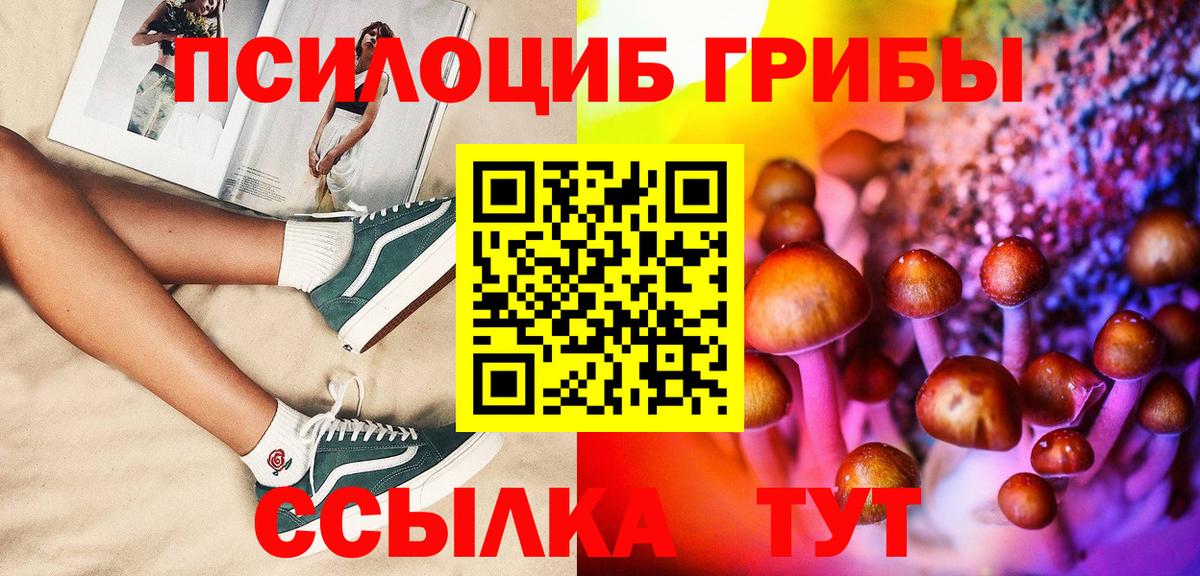 Дальнереченск  Галлюциногенные грибы ЛСД  Вход с VPN 